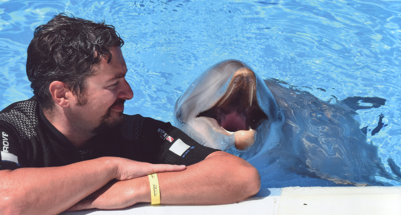 me swimming with dolphins